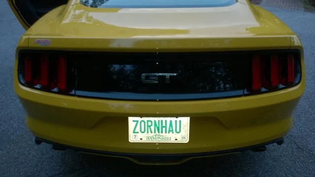 bo0pZ6Yl.webp