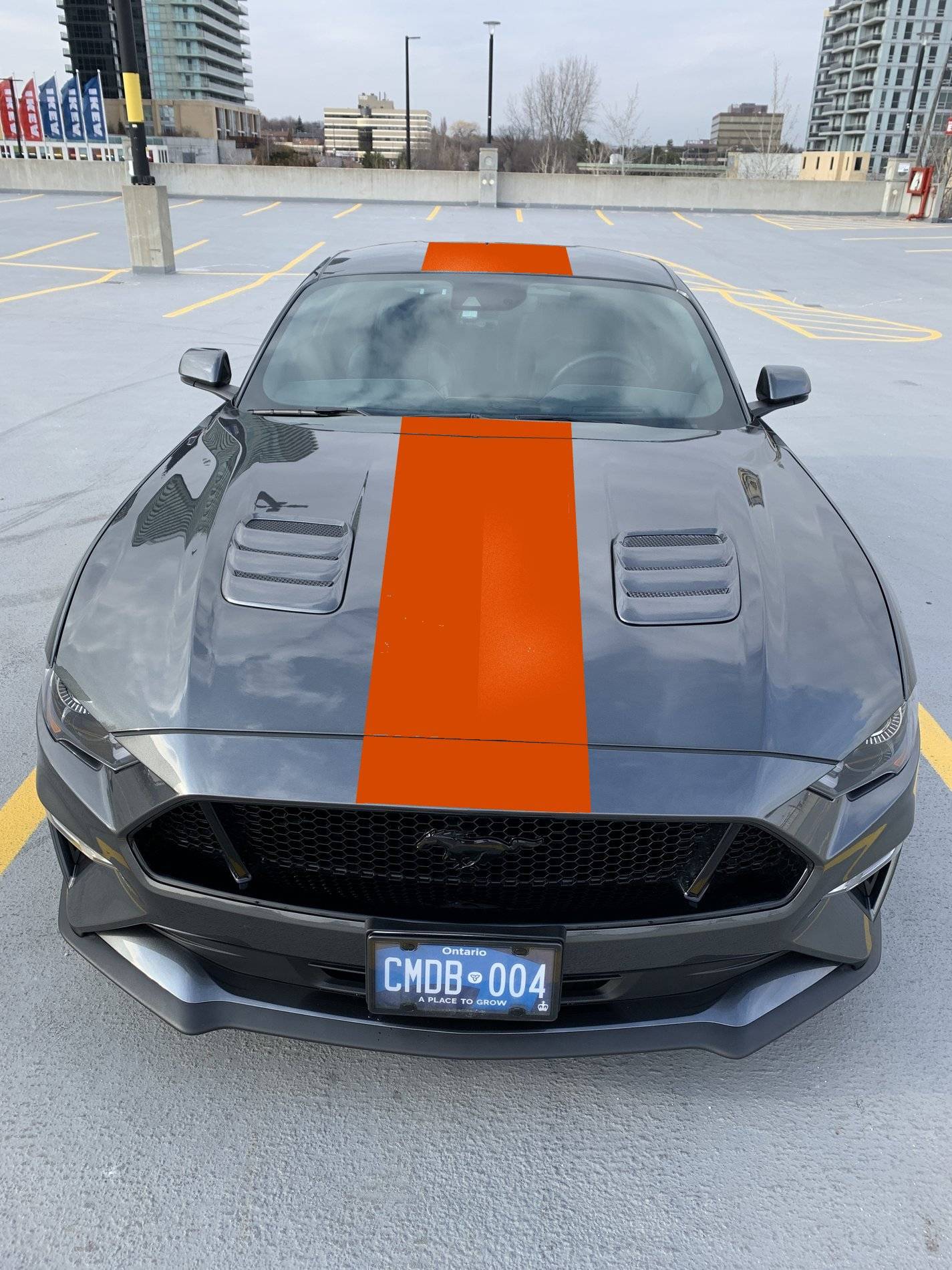MustangGT48x.jpg