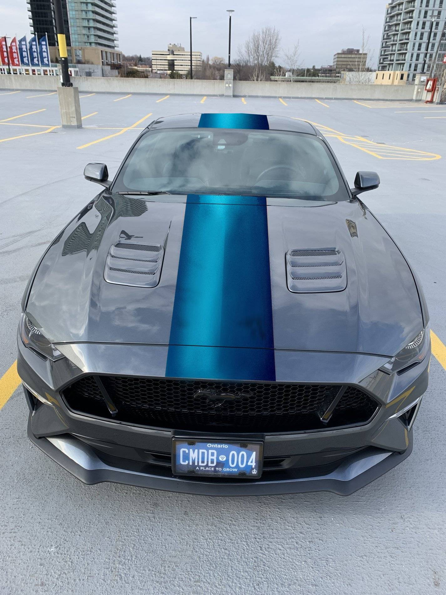 MustangGT48x3.jpg