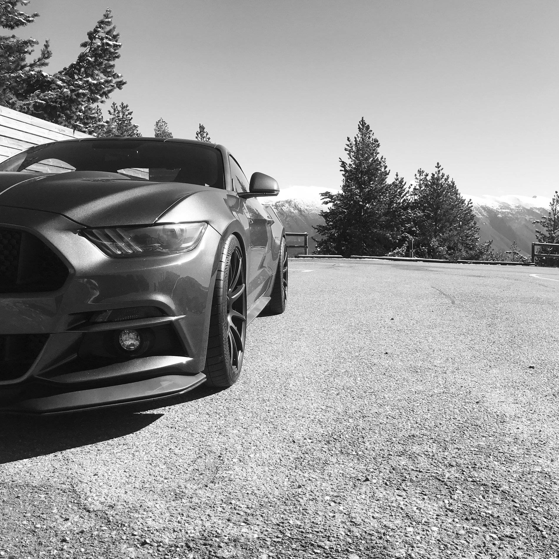 Mustang.JPG