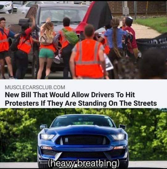 5c035e987246d.jpeg