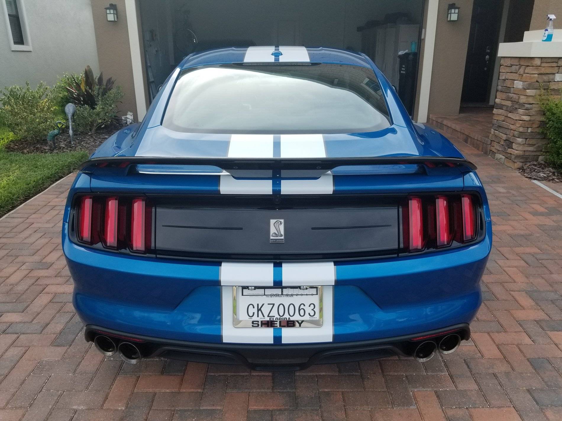 VBlue Rear.jpg