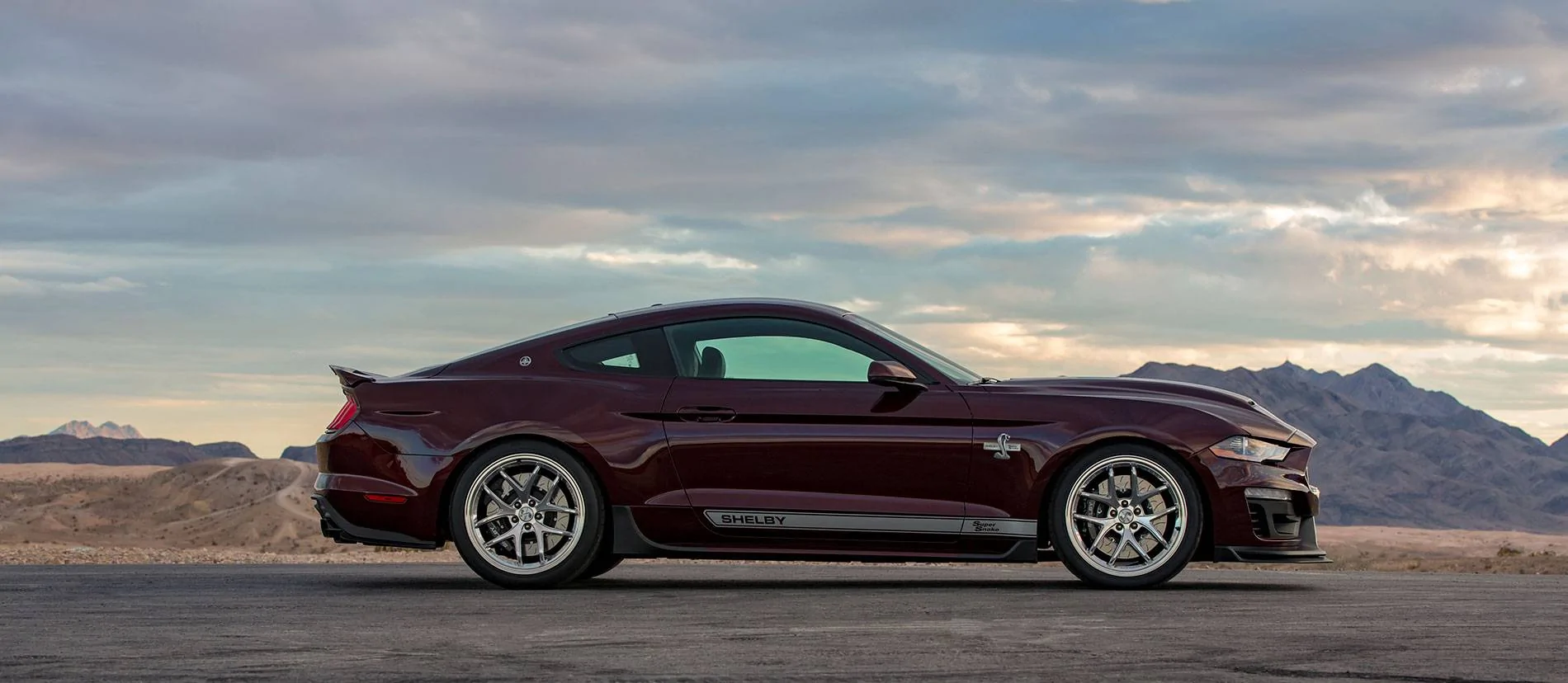 supersnake_gallery_13.webp