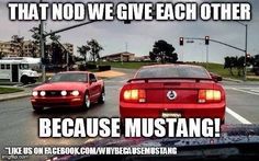 3669b35d642577911e04e8510a8fa7a1--mustang-quotes-mustang-humor.jpg
