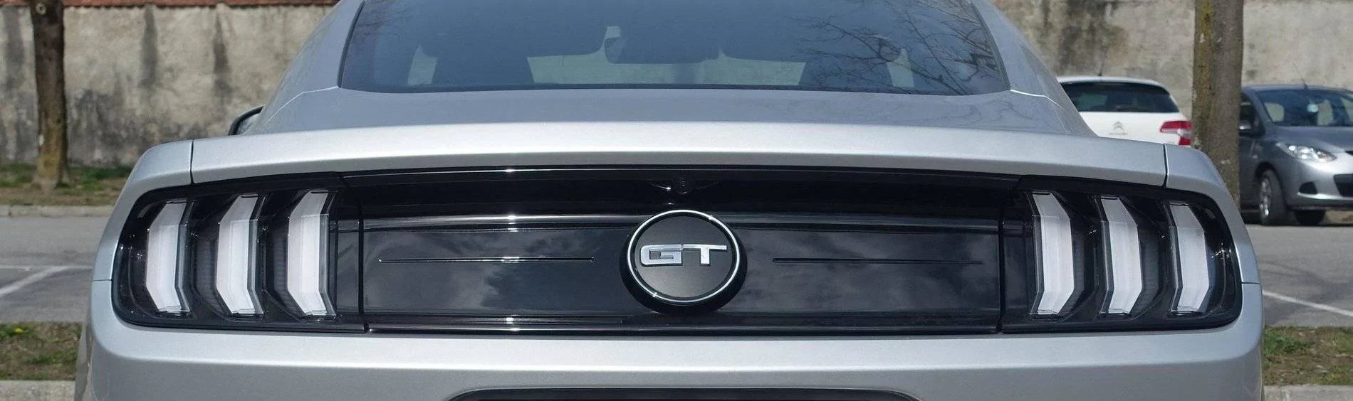 2020_03_28 Mustang_DSC01998_REAR - detail.webp