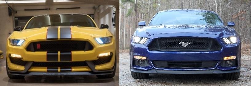 bonnet.jpg