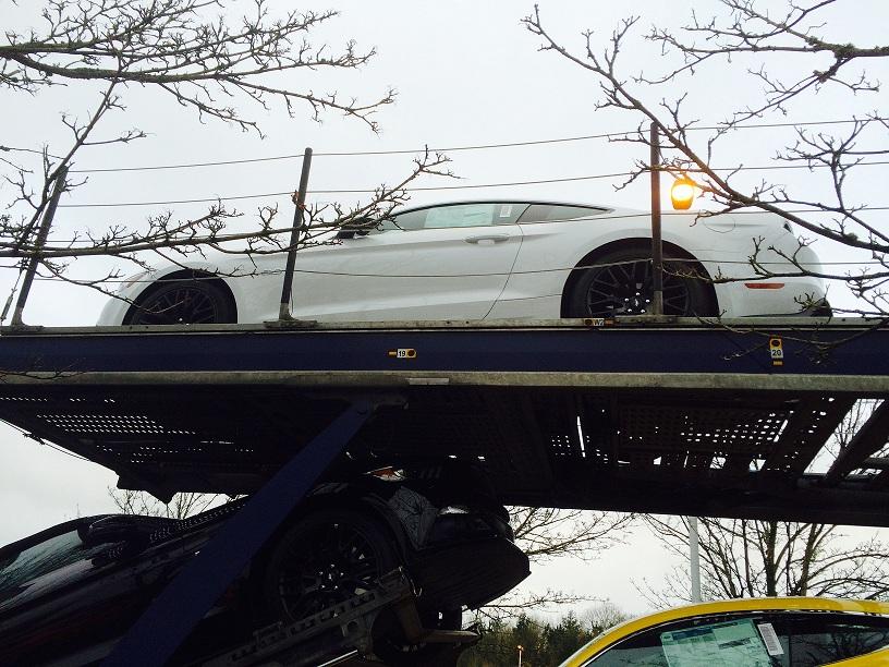 Mustang on Loader.jpg