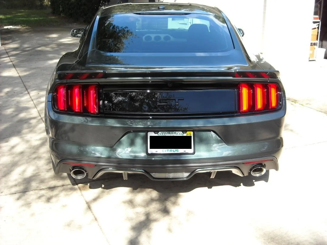 DSCN4167.webp