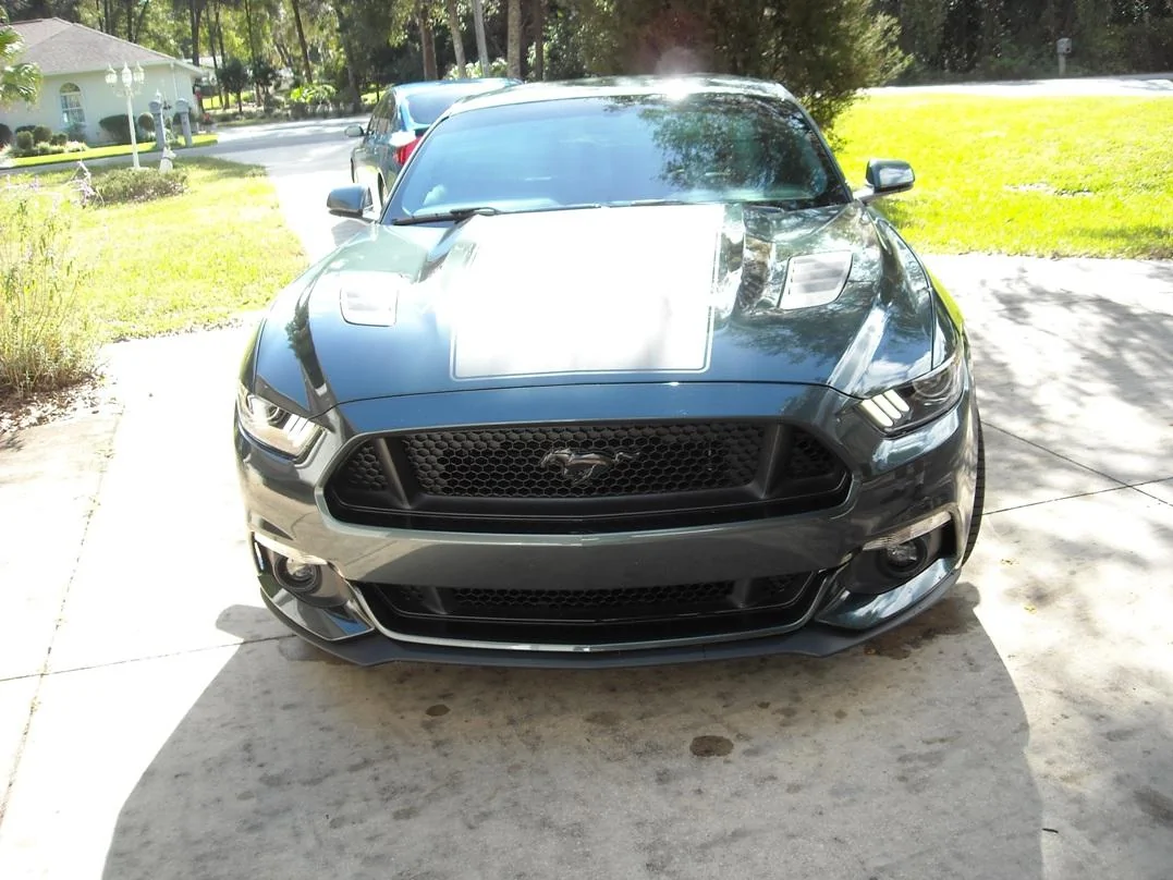 DSCN4154.webp