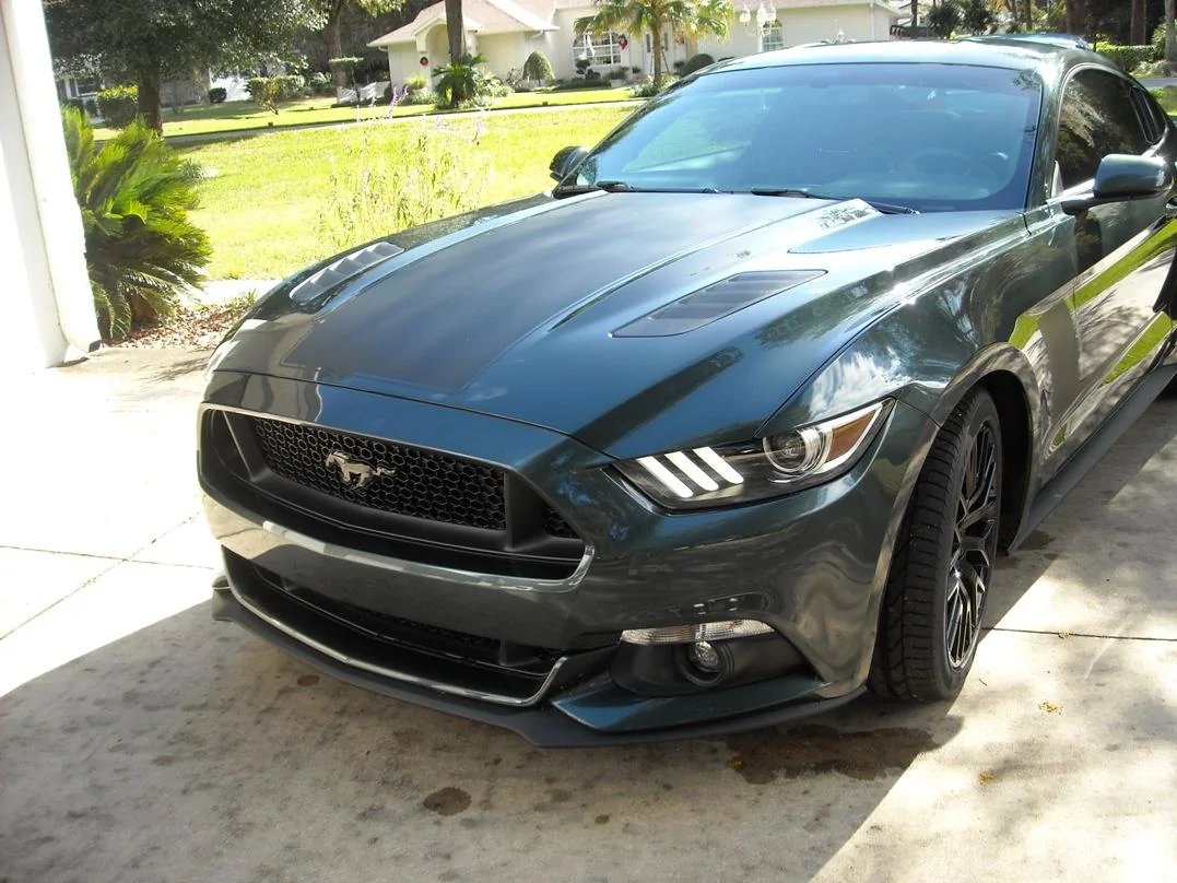 DSCN4155.webp