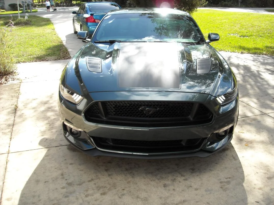 DSCN4165.webp
