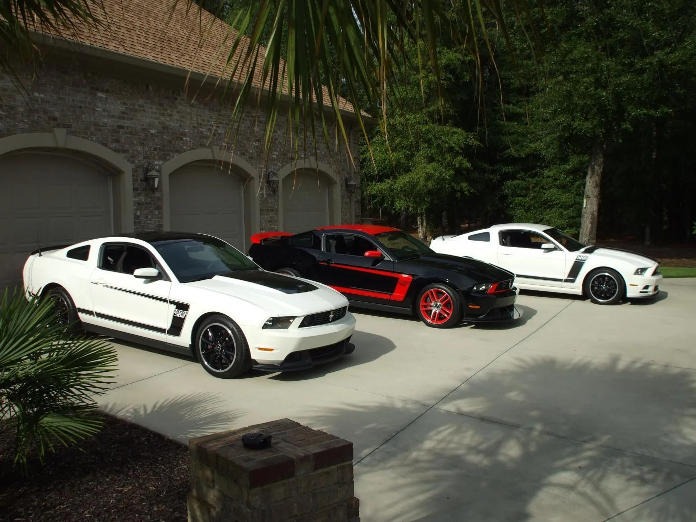 DSCF0765.webp