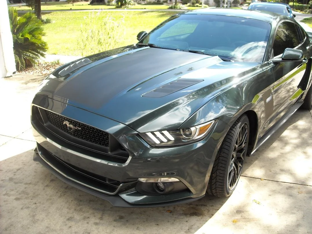 DSCN4164.webp
