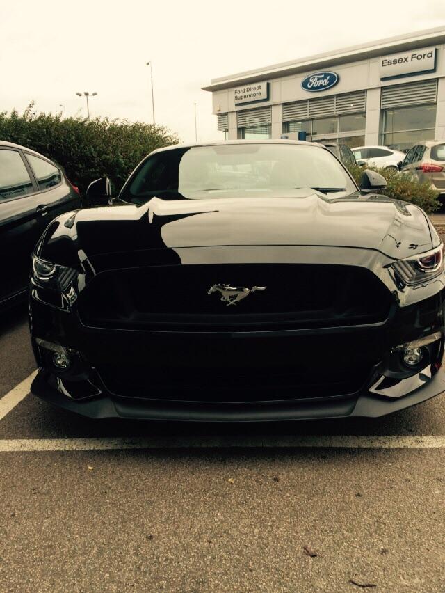 IMG-20151205-WA0000.jpg