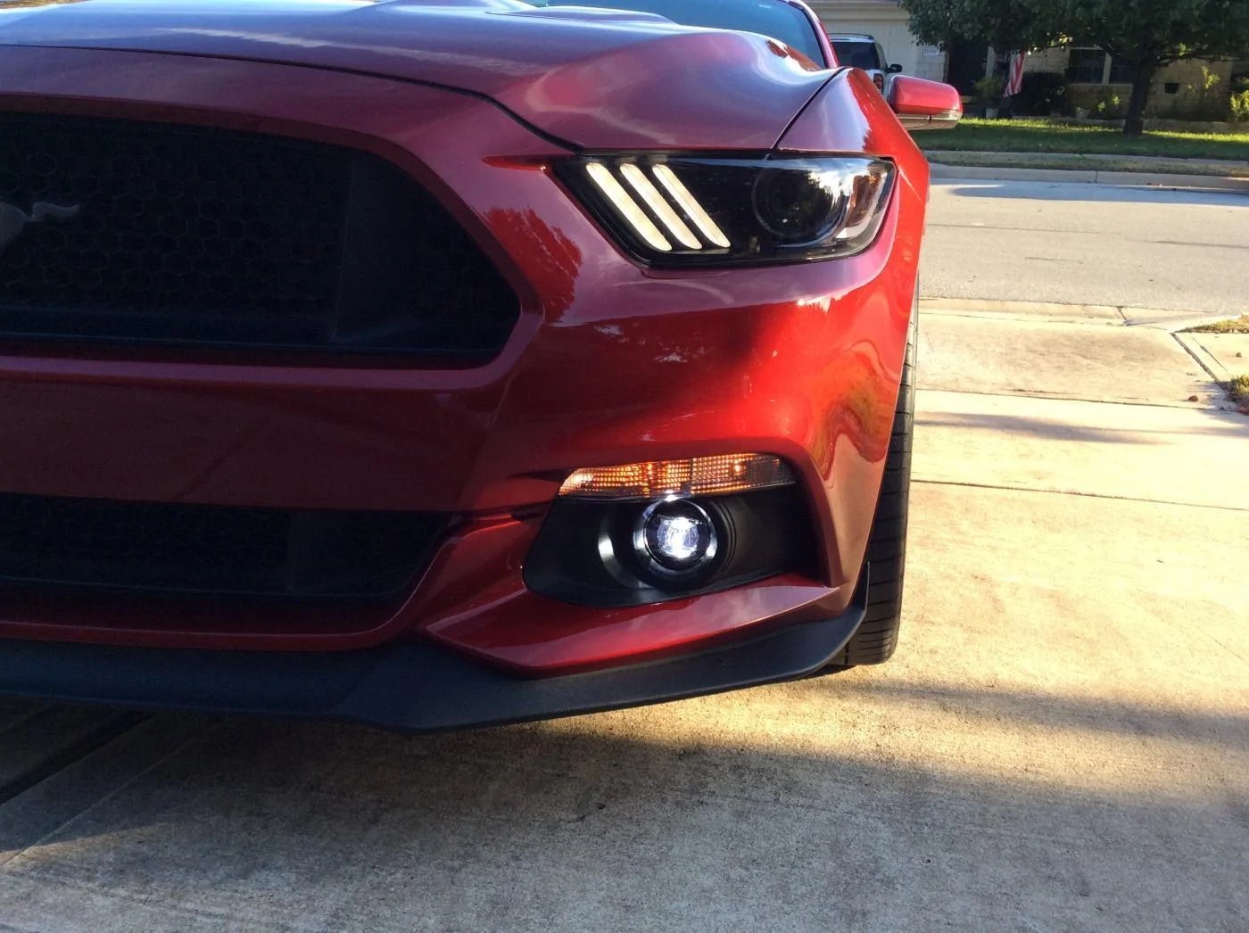 Fog Lights 3.webp