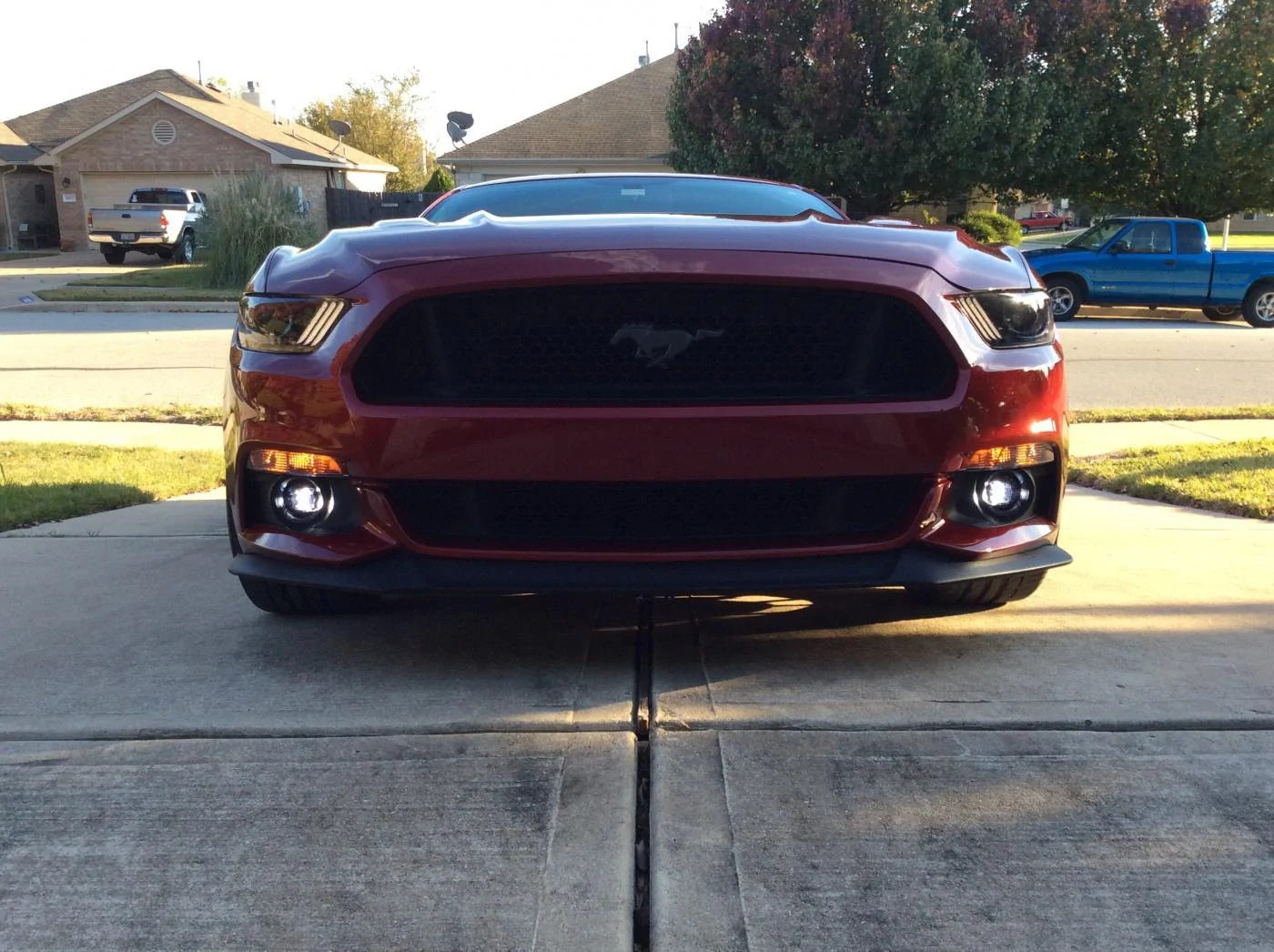 Fog Lights 2.webp