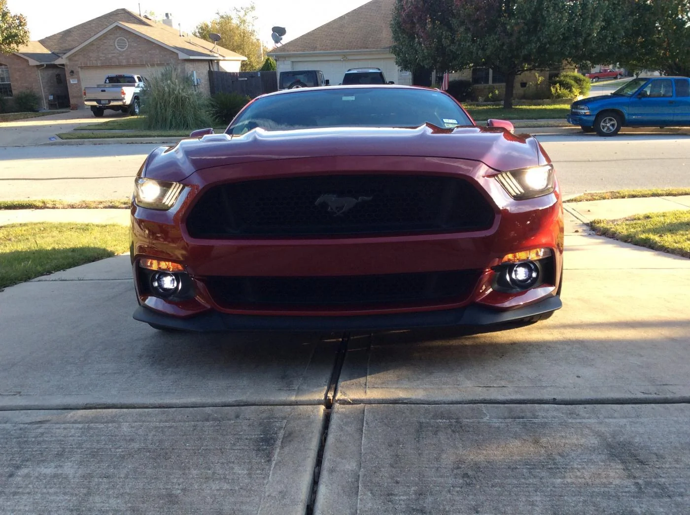 Fog Lights 4.webp