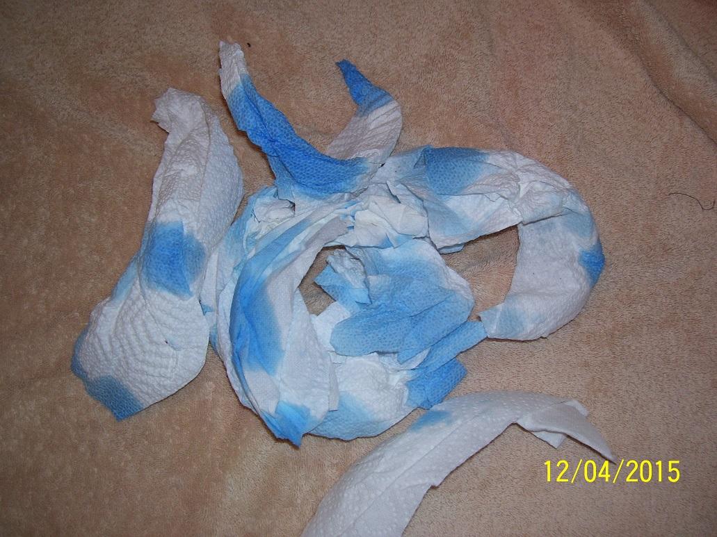 steeda cai 003.JPG
