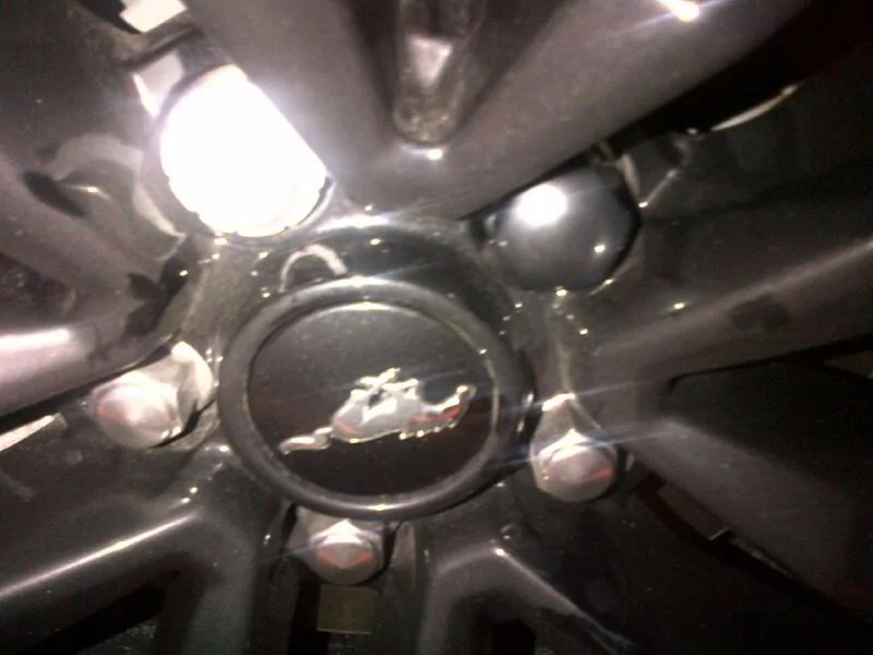 IMG-20151206-00658.webp