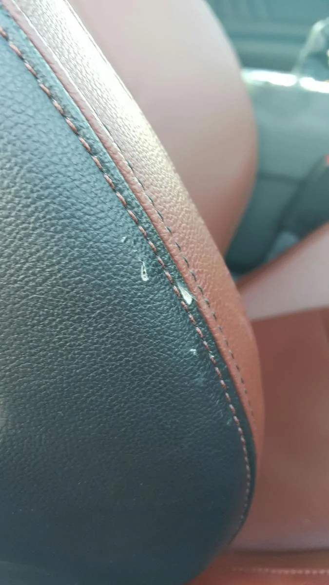 passenger 1-Resize.webp