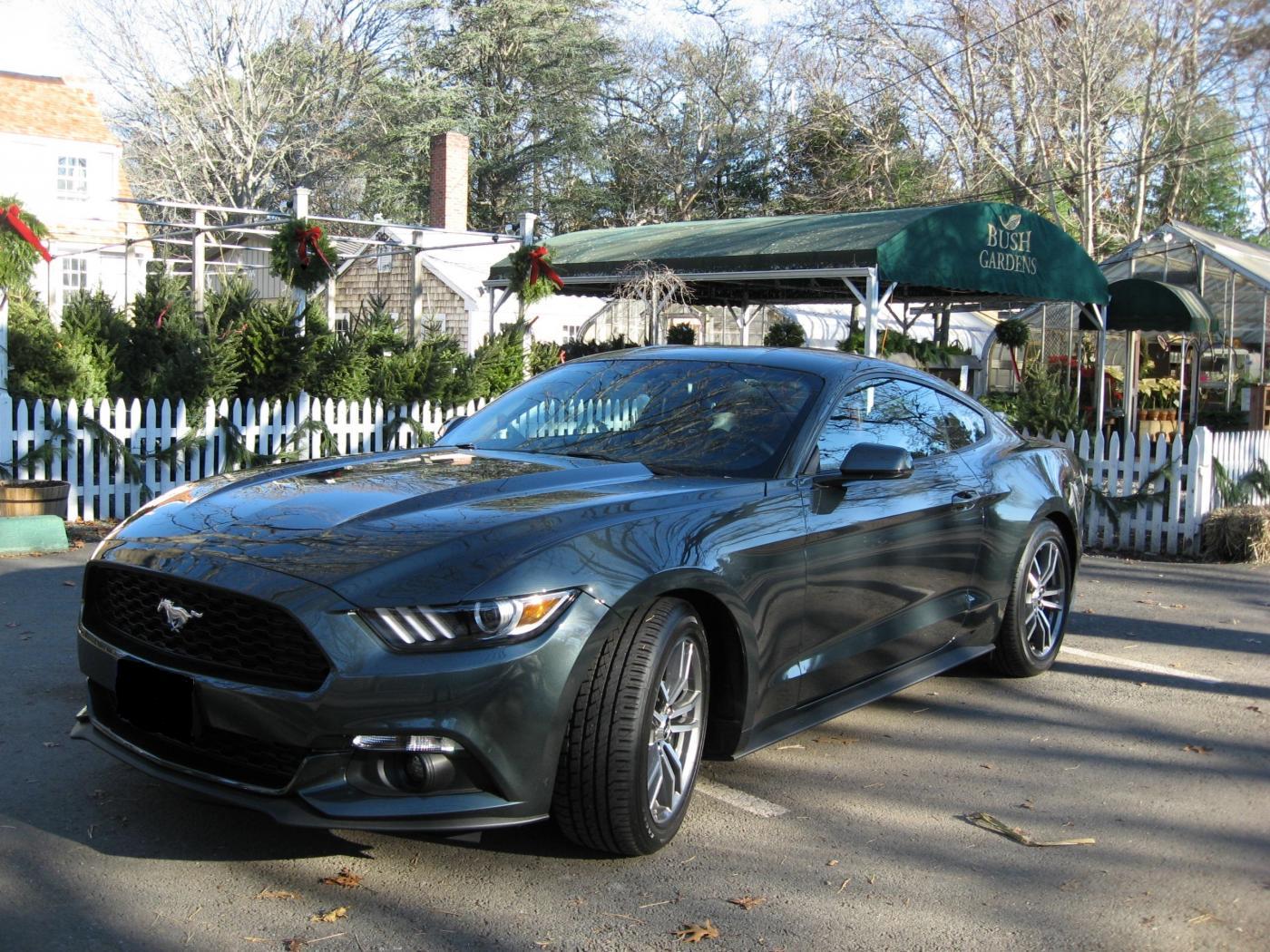 15 Christmas Pony 2015 b.jpg