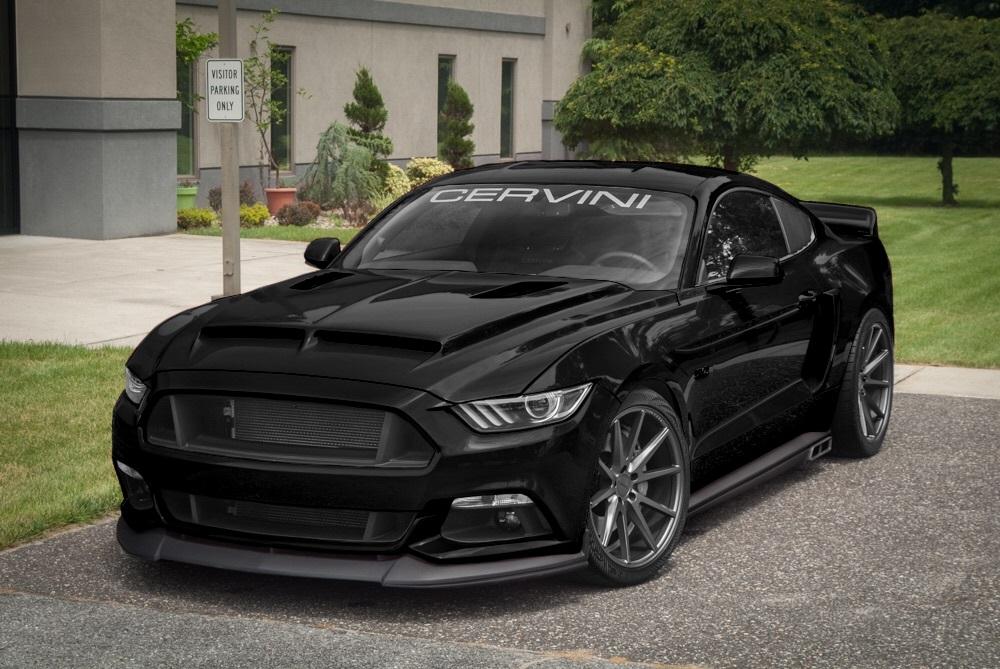 black cervini.jpg