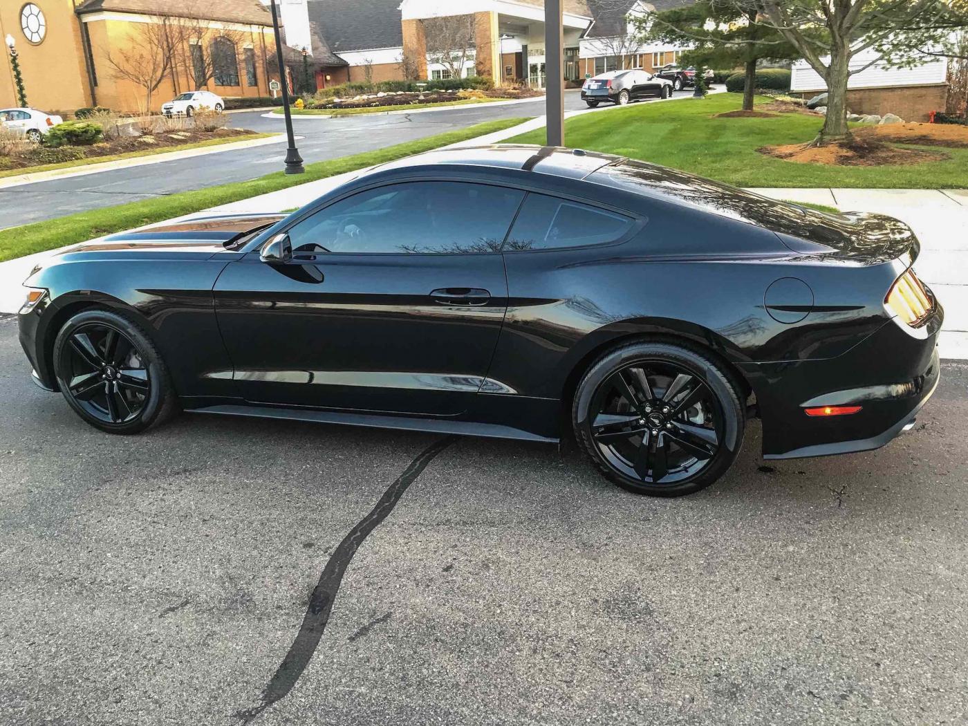MustangG6 2.jpg