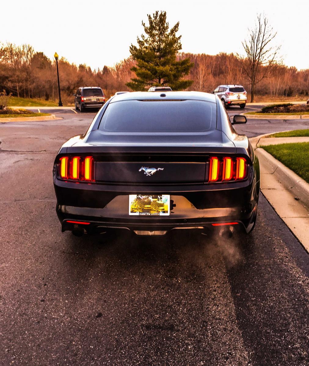 MustangG6 3.jpg