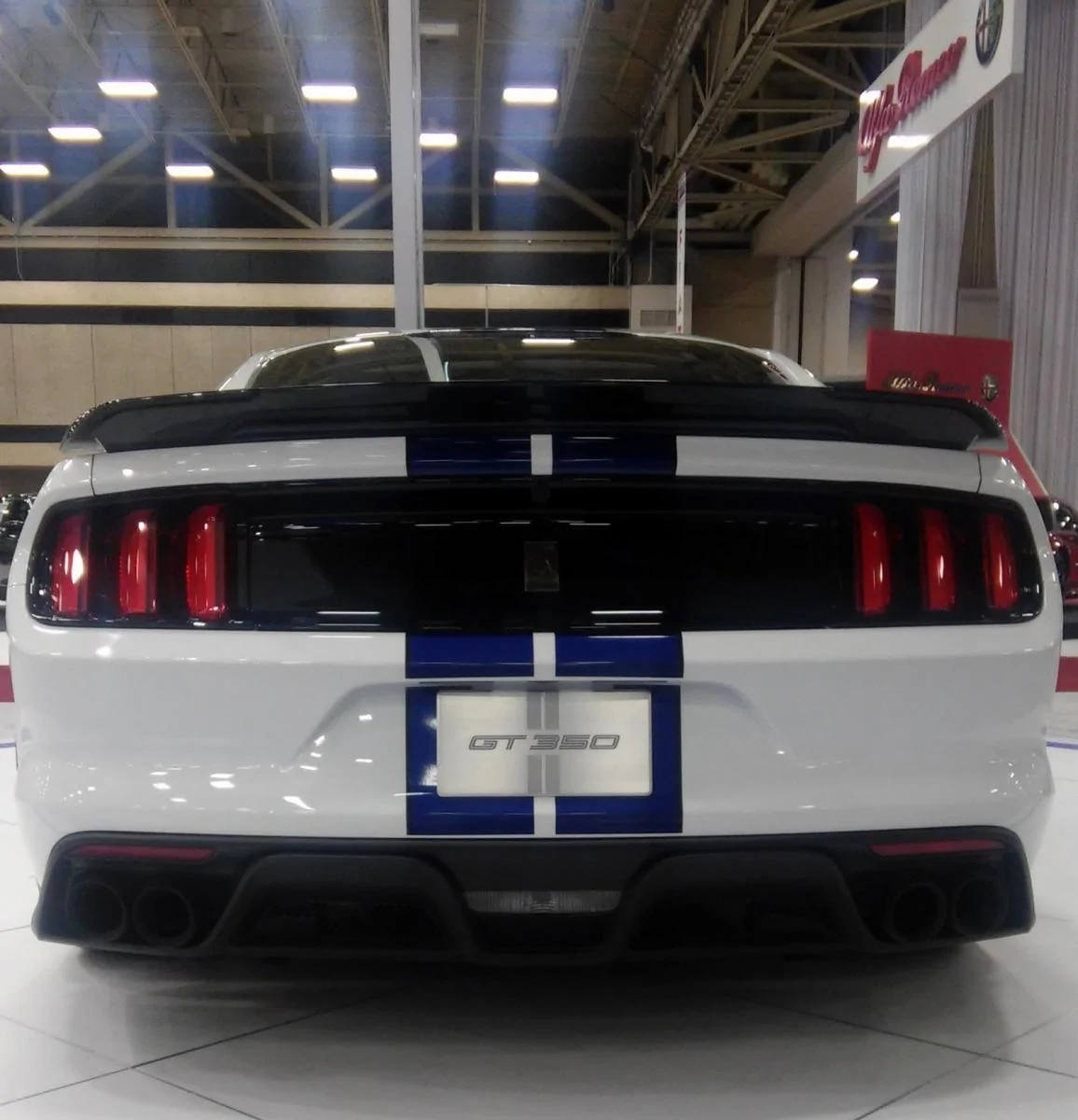 Shelby ass.webp