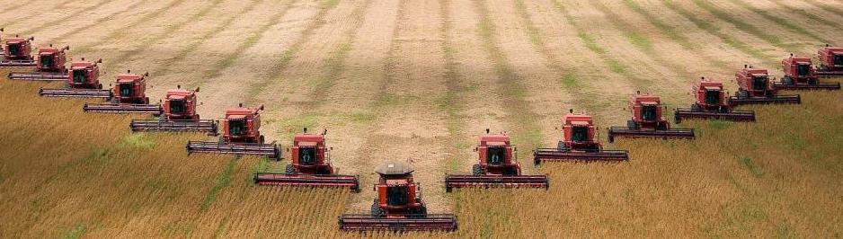 harvester-front-corn-field-field-grain-field-harvester-800x1280.jpg