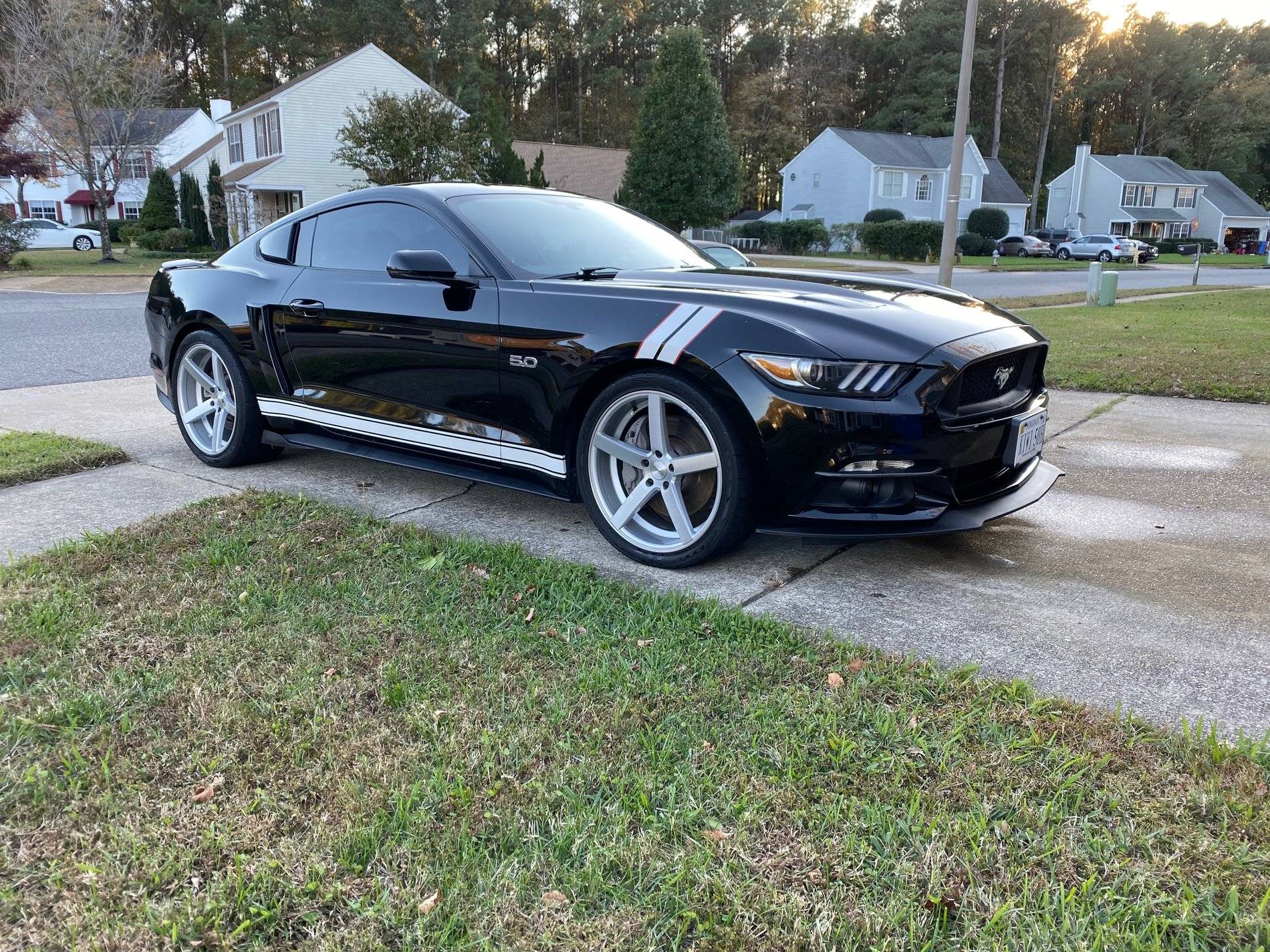 Mustang15.jpg