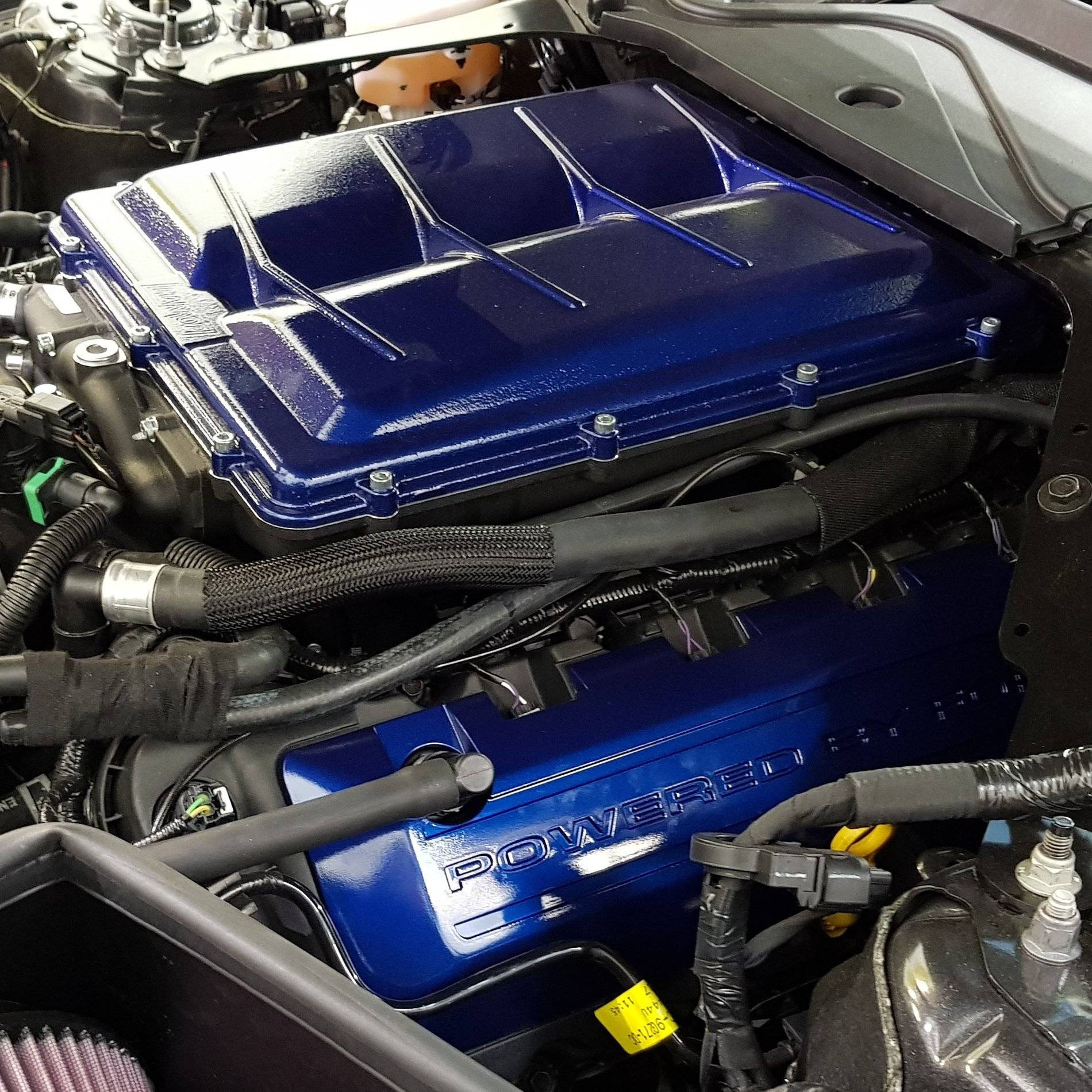 Blue.jpg