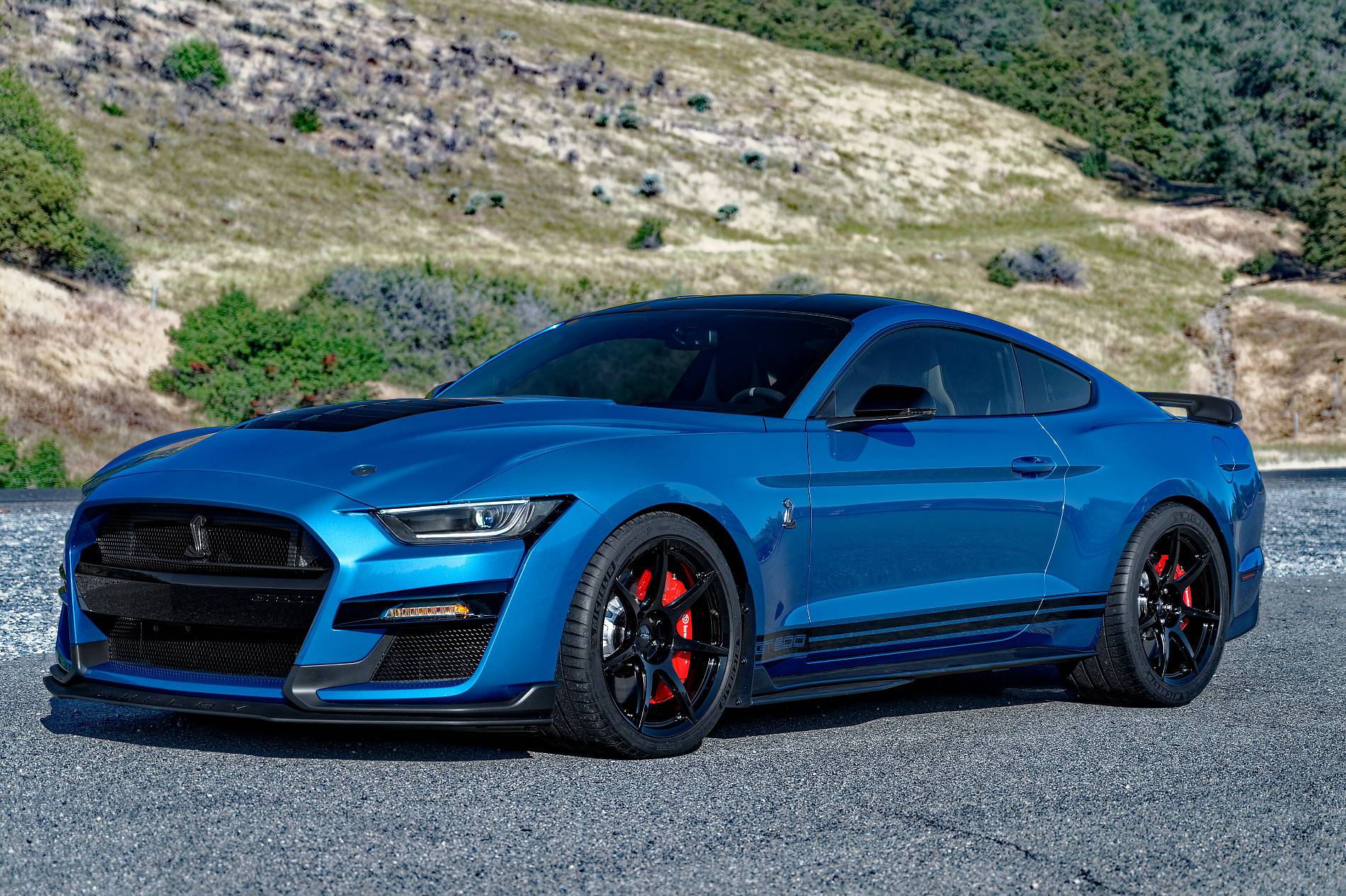 NZ7_4780GT5001900.jpg