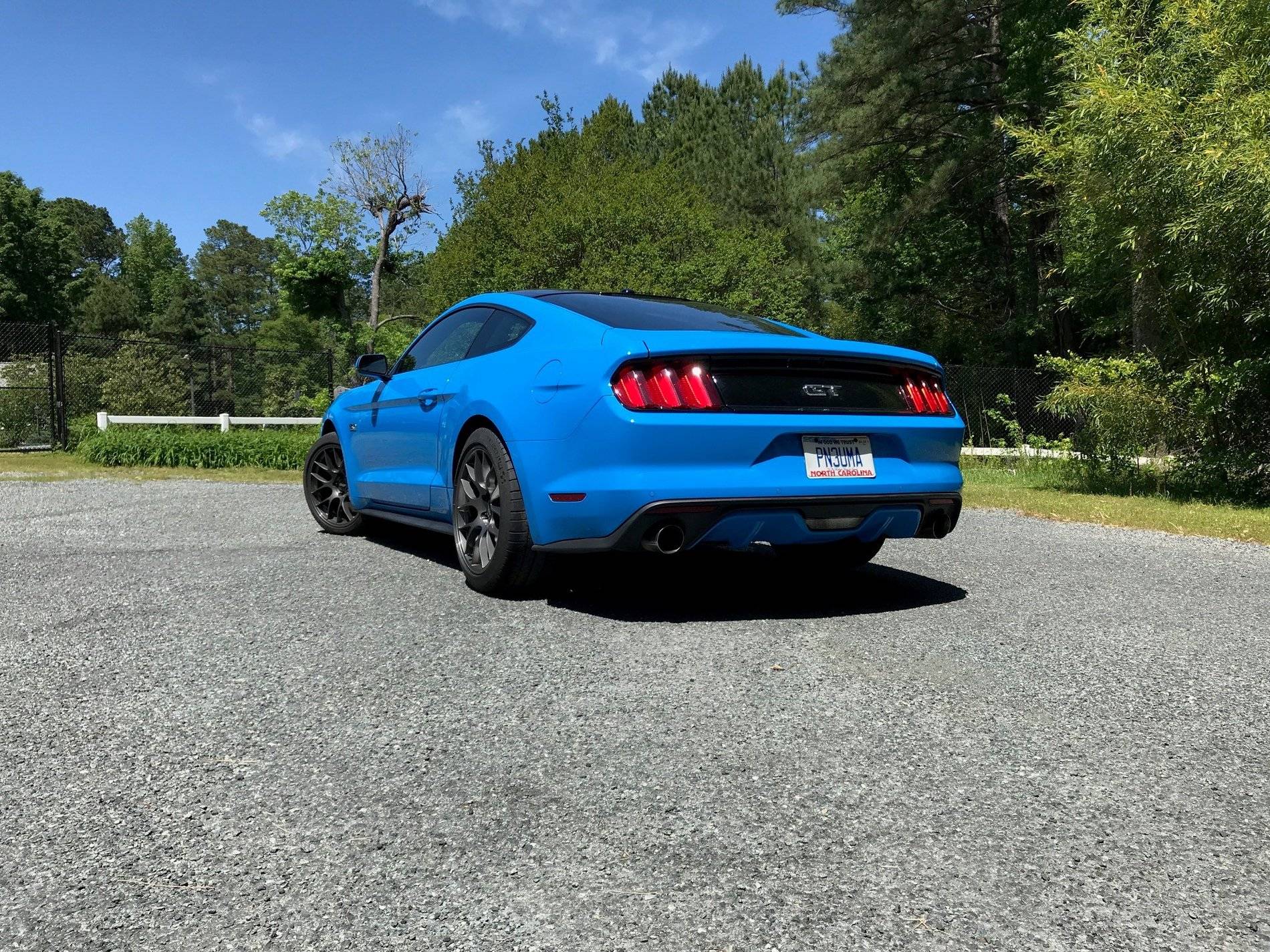 Mustang 3.jpg
