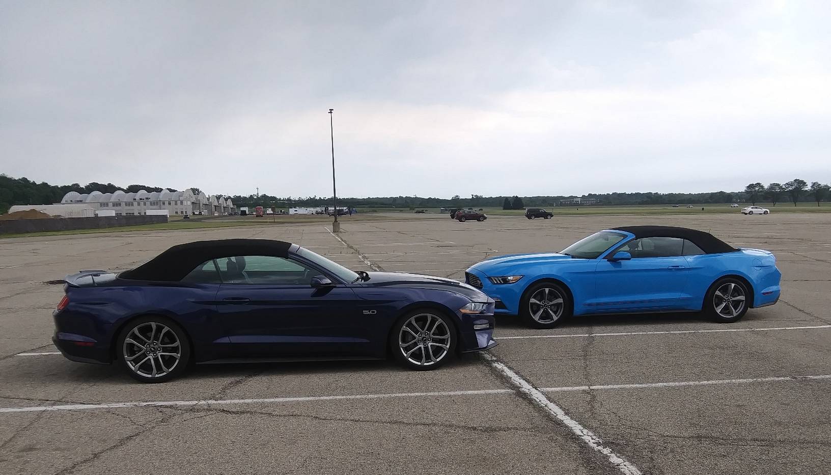 mustang 1.jpg