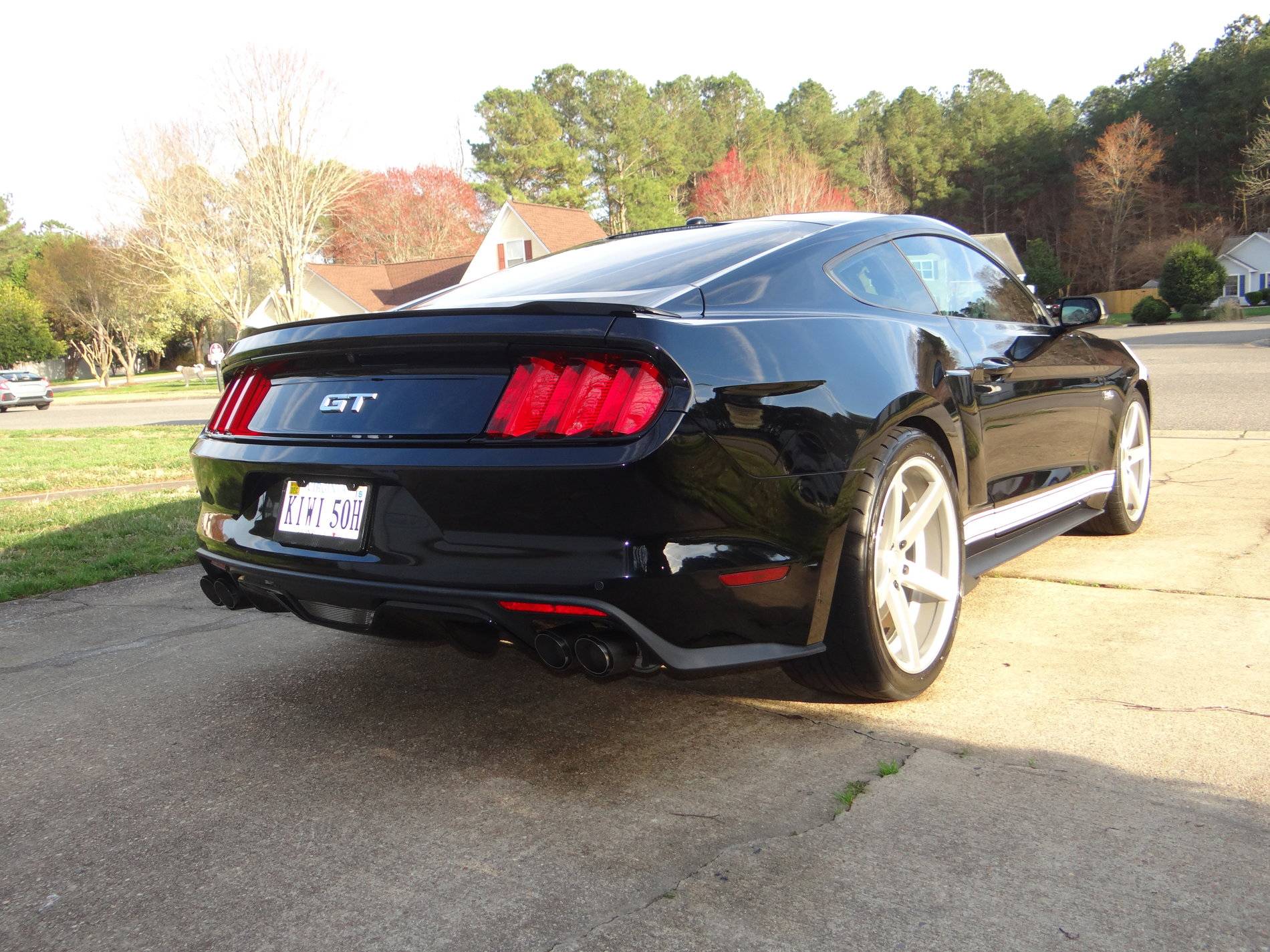 Mustang13.JPG