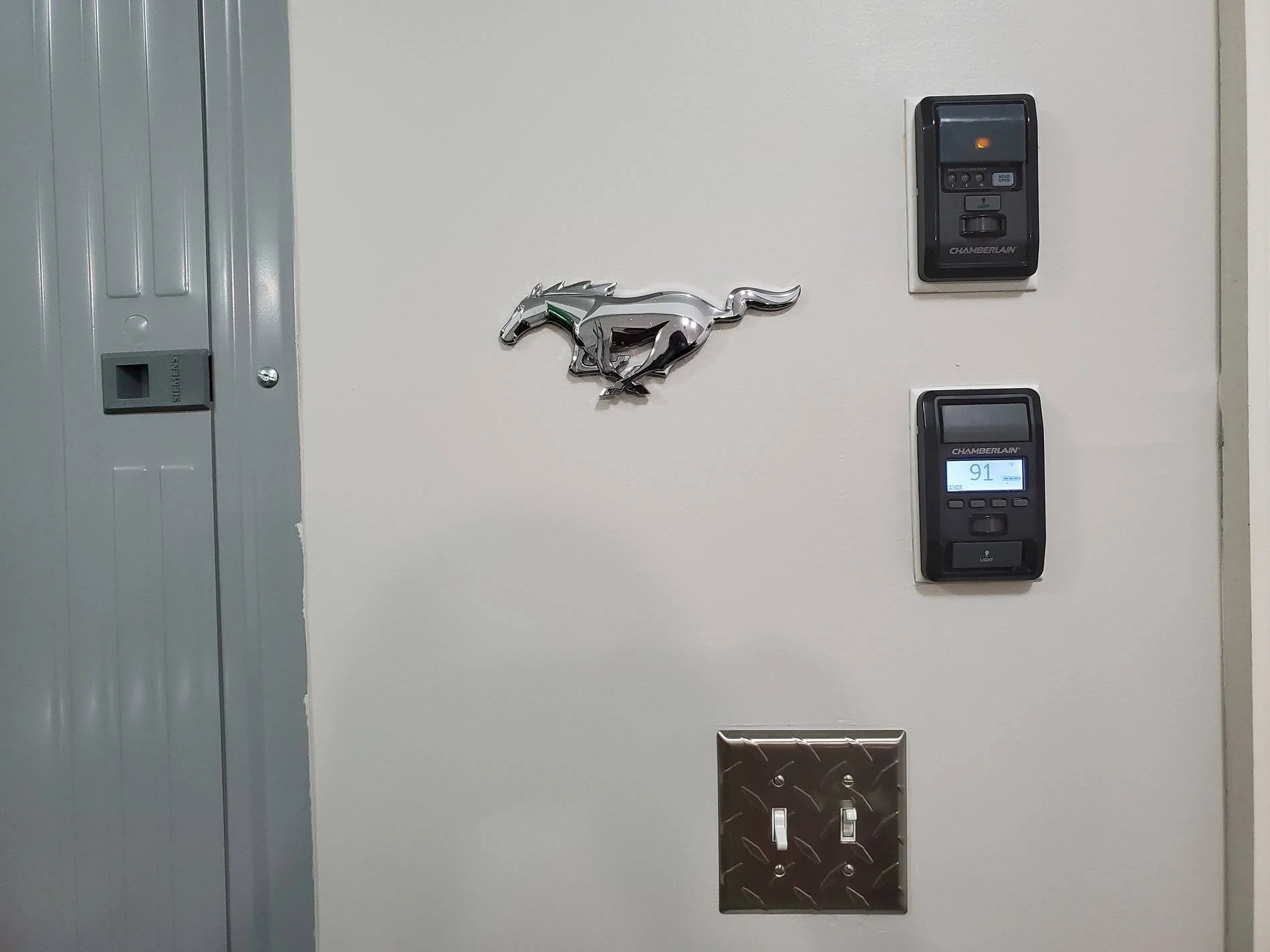 Pony on Wall.webp