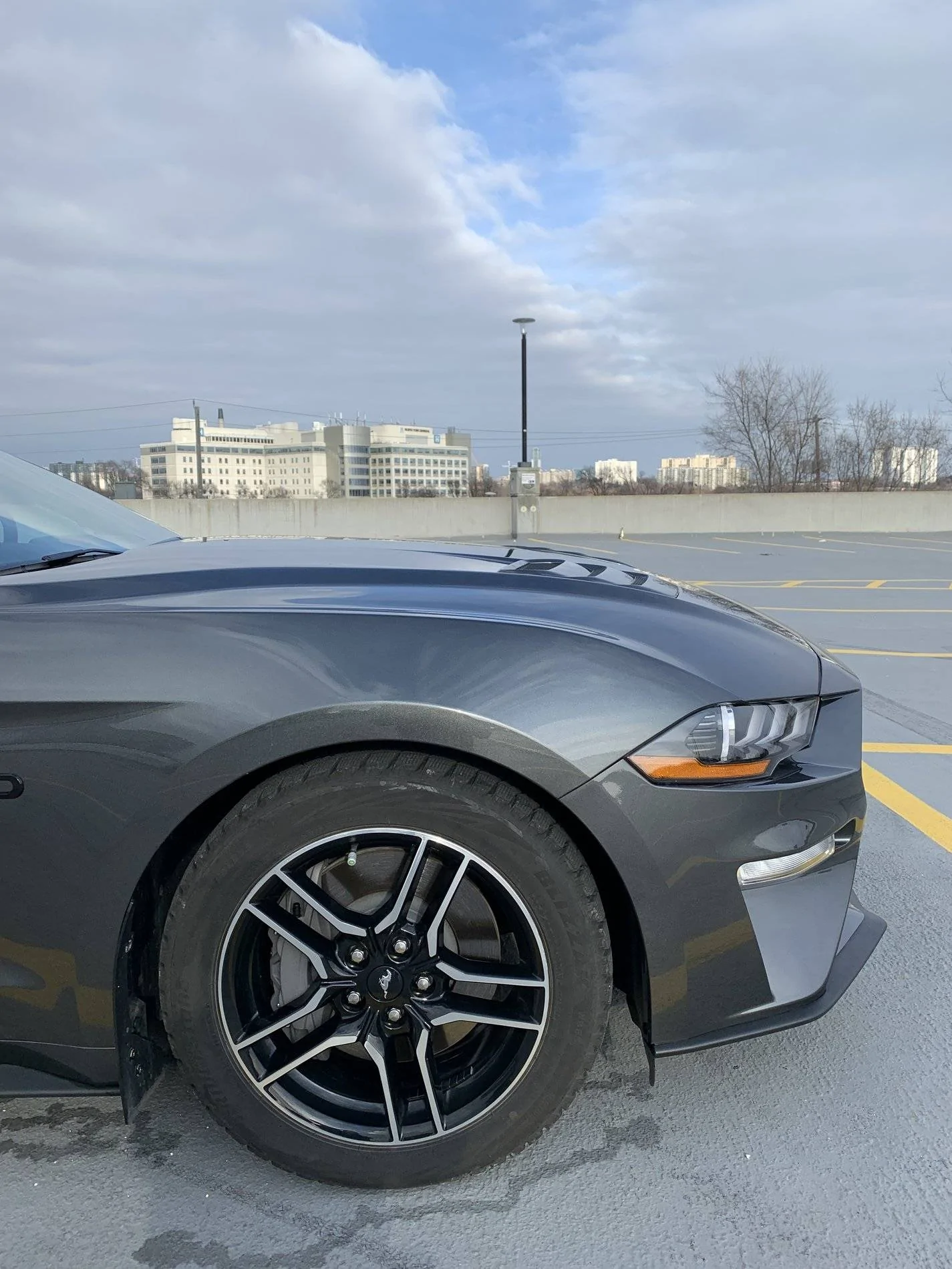 Mustang GT (45).webp