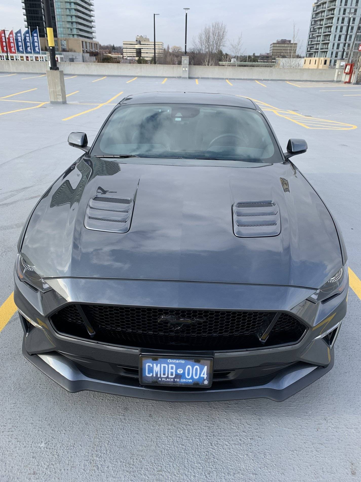 Mustang GT (48).JPG