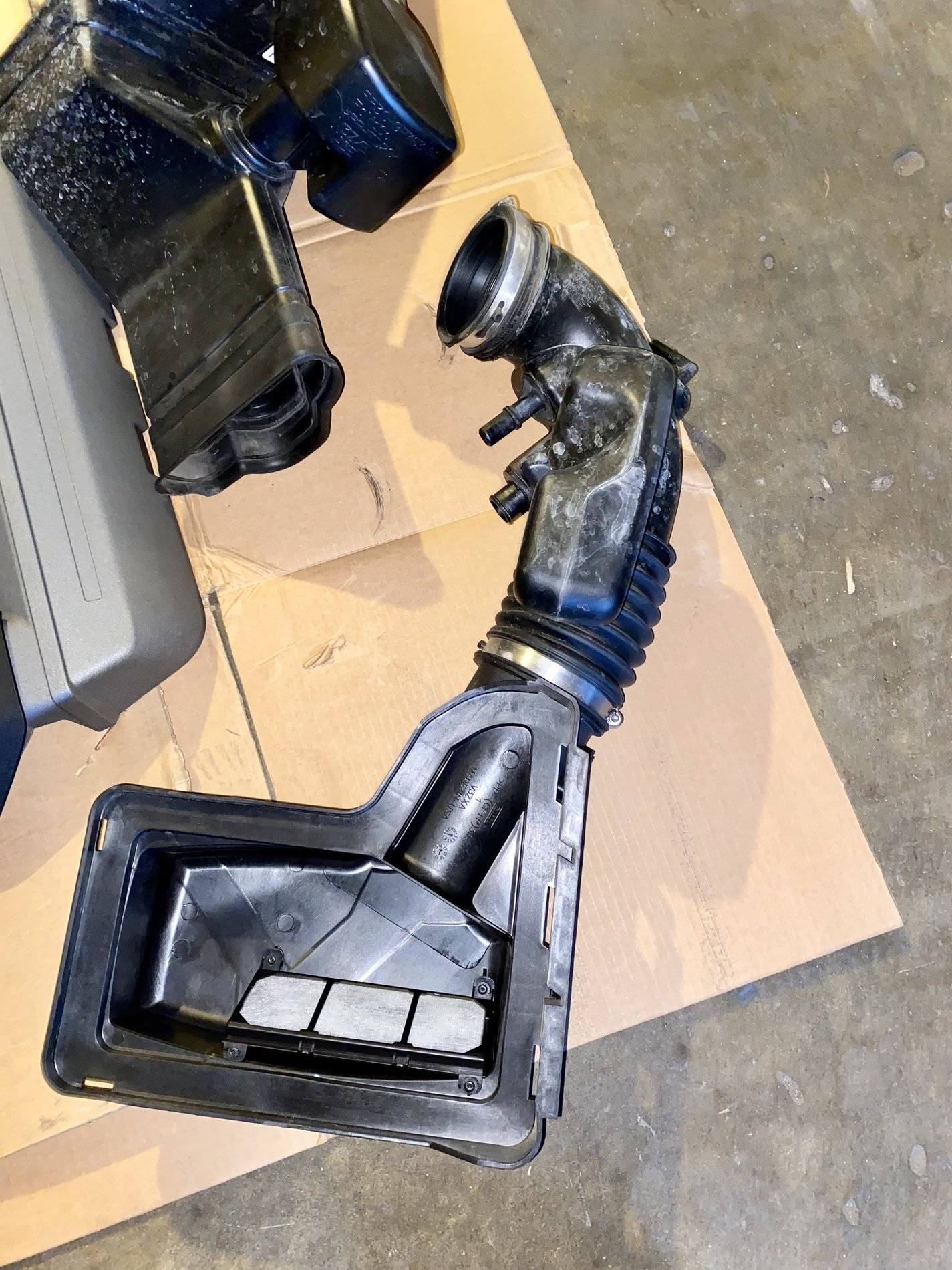 DCBAD3F3-BCAE-453C-BC6A-9BAD2F718BDB.jpeg