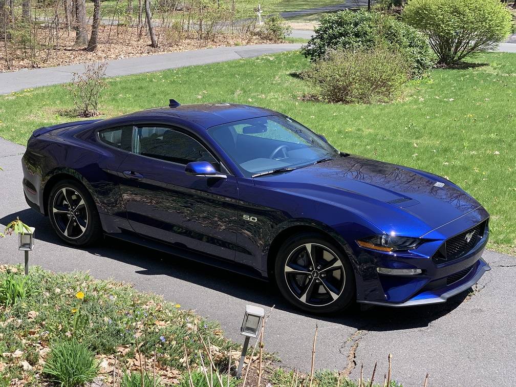 Mustang 5-5-20 - small.jpg