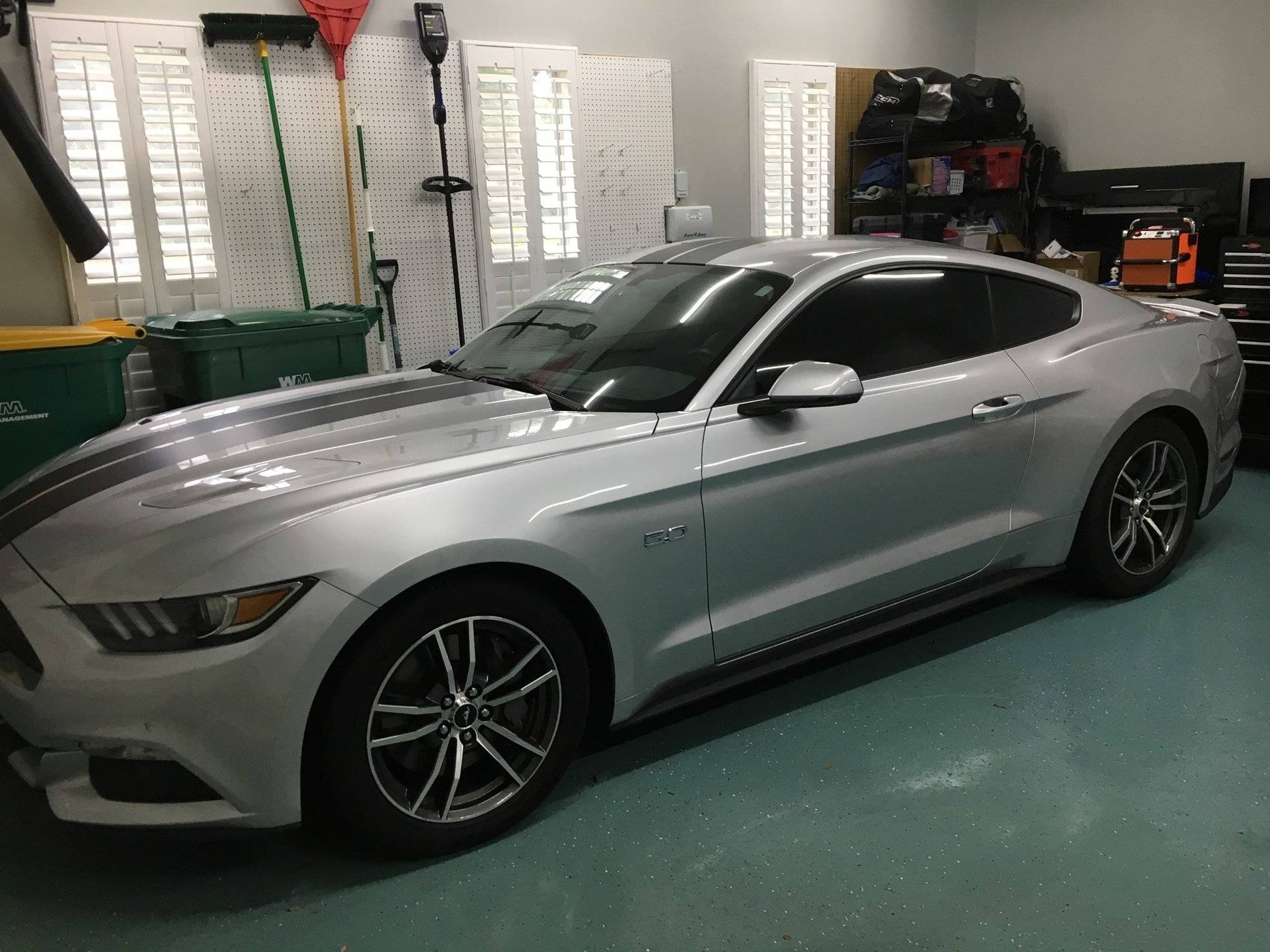 stang.jpg