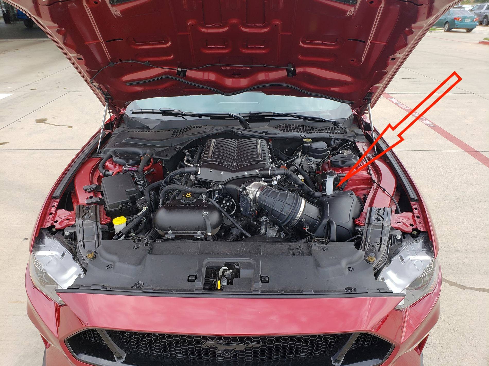 whipple intercooler low.jpg