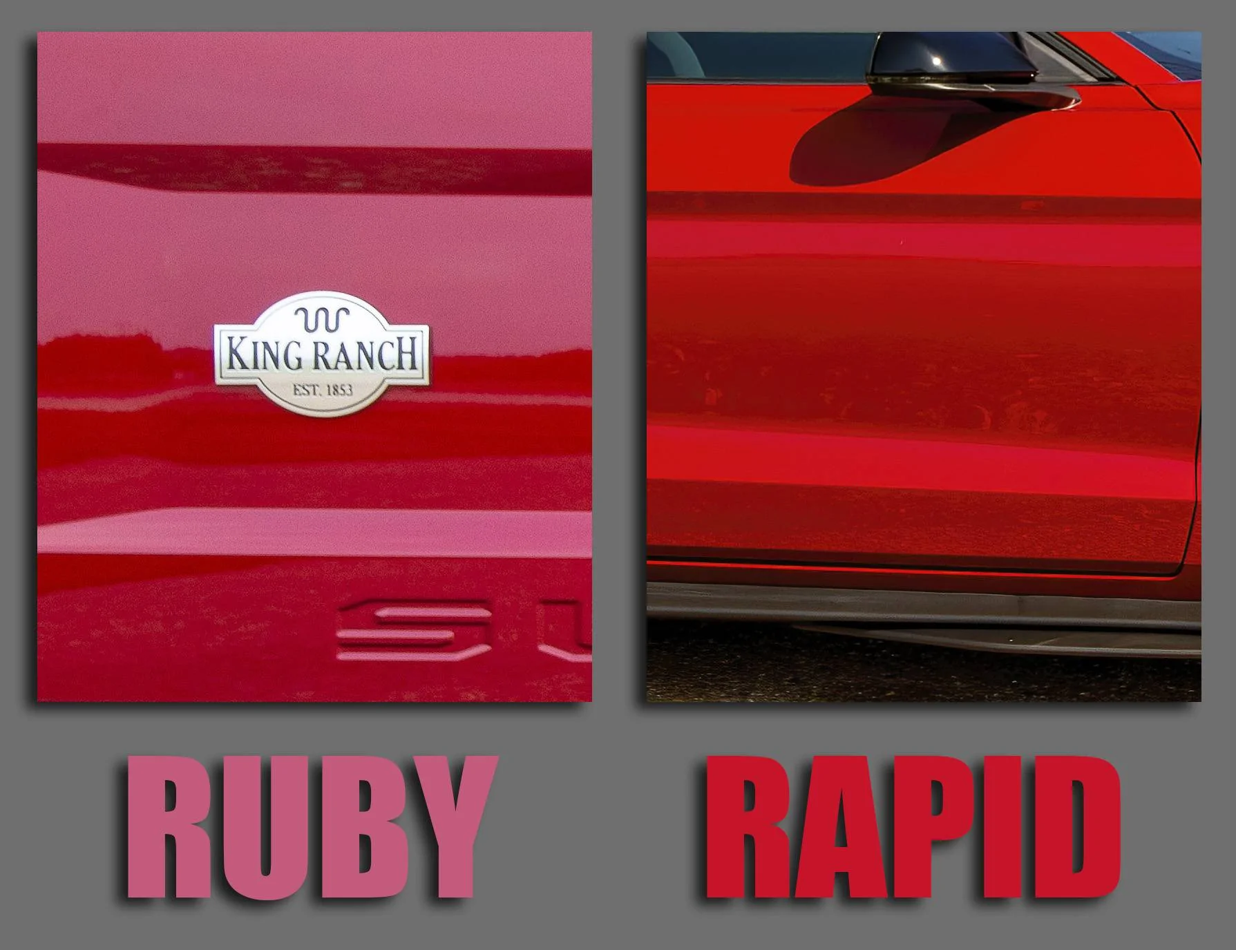 ruby-rapid-comparison.webp