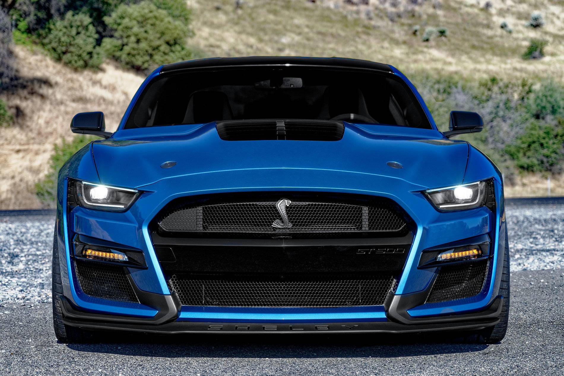 NZ7_4786GT500.jpeg