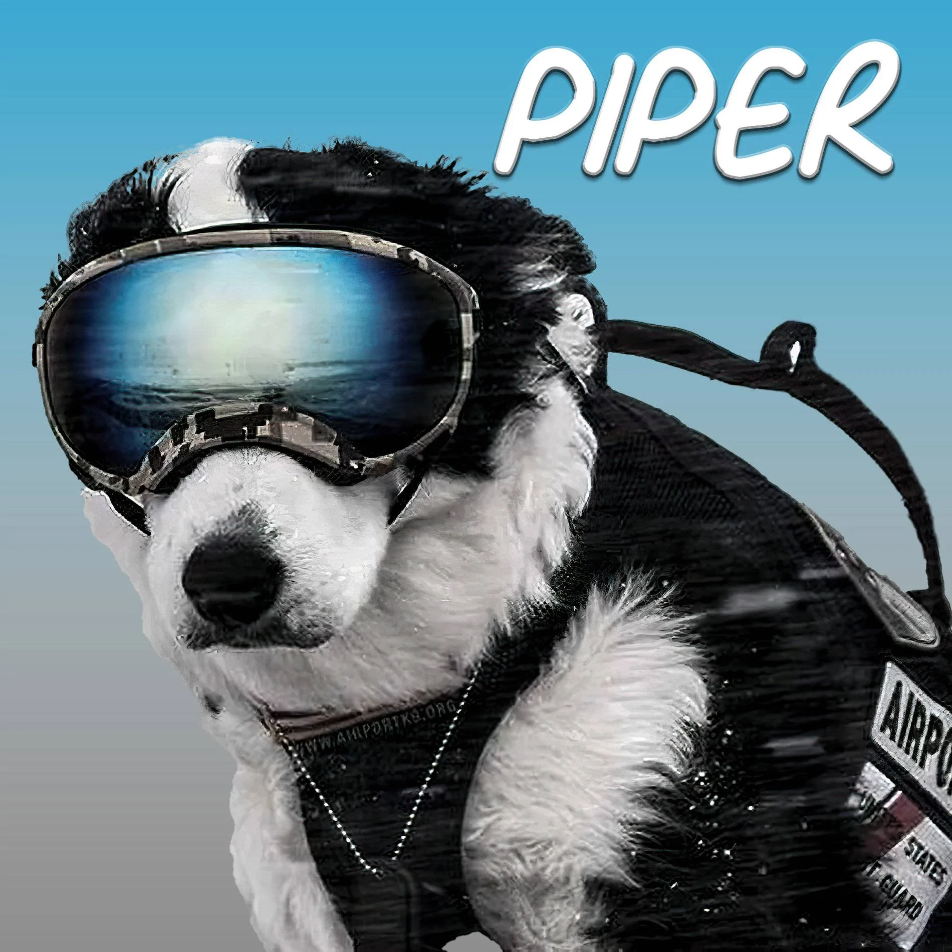 piper-airport-dog_avatar.webp