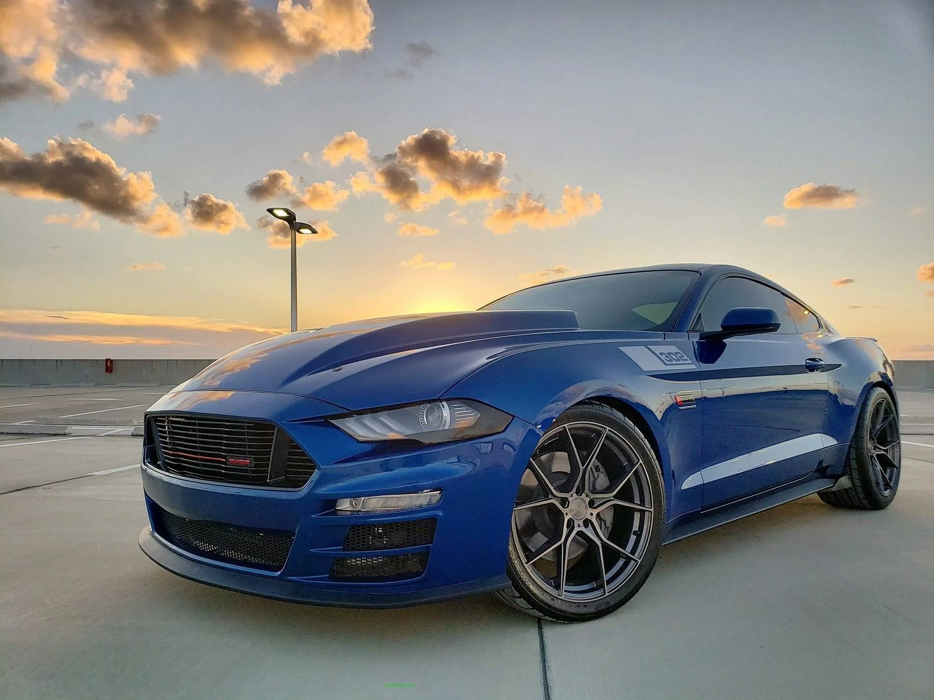 Stang.webp