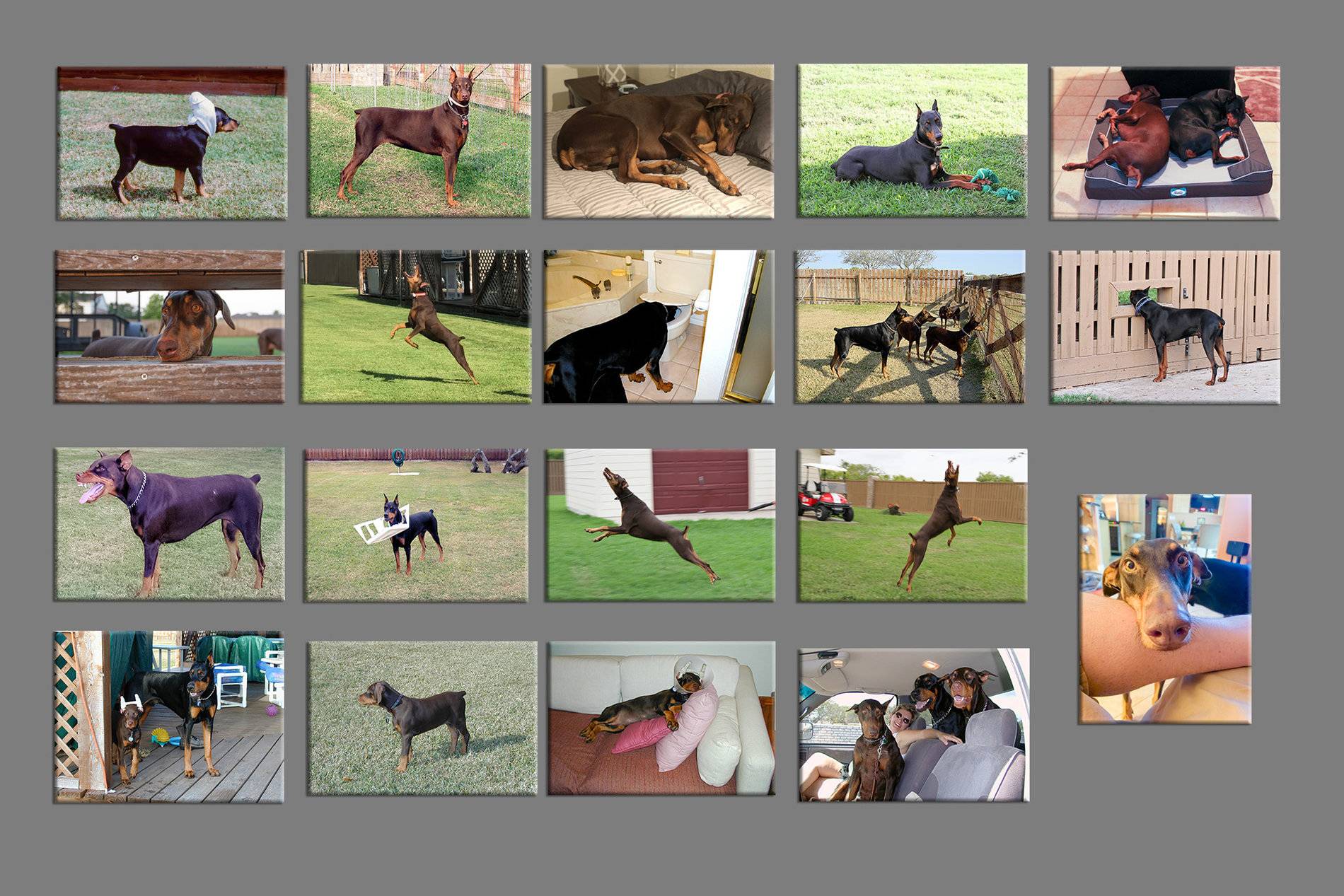 corpus-dobies-comp_01_1920.jpg