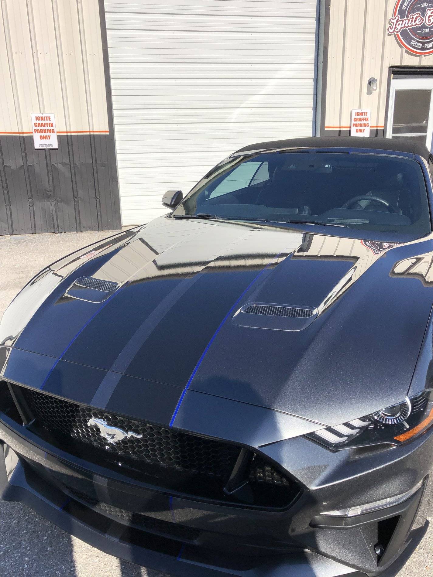 Mustang GT Thin Blue Line.jpg