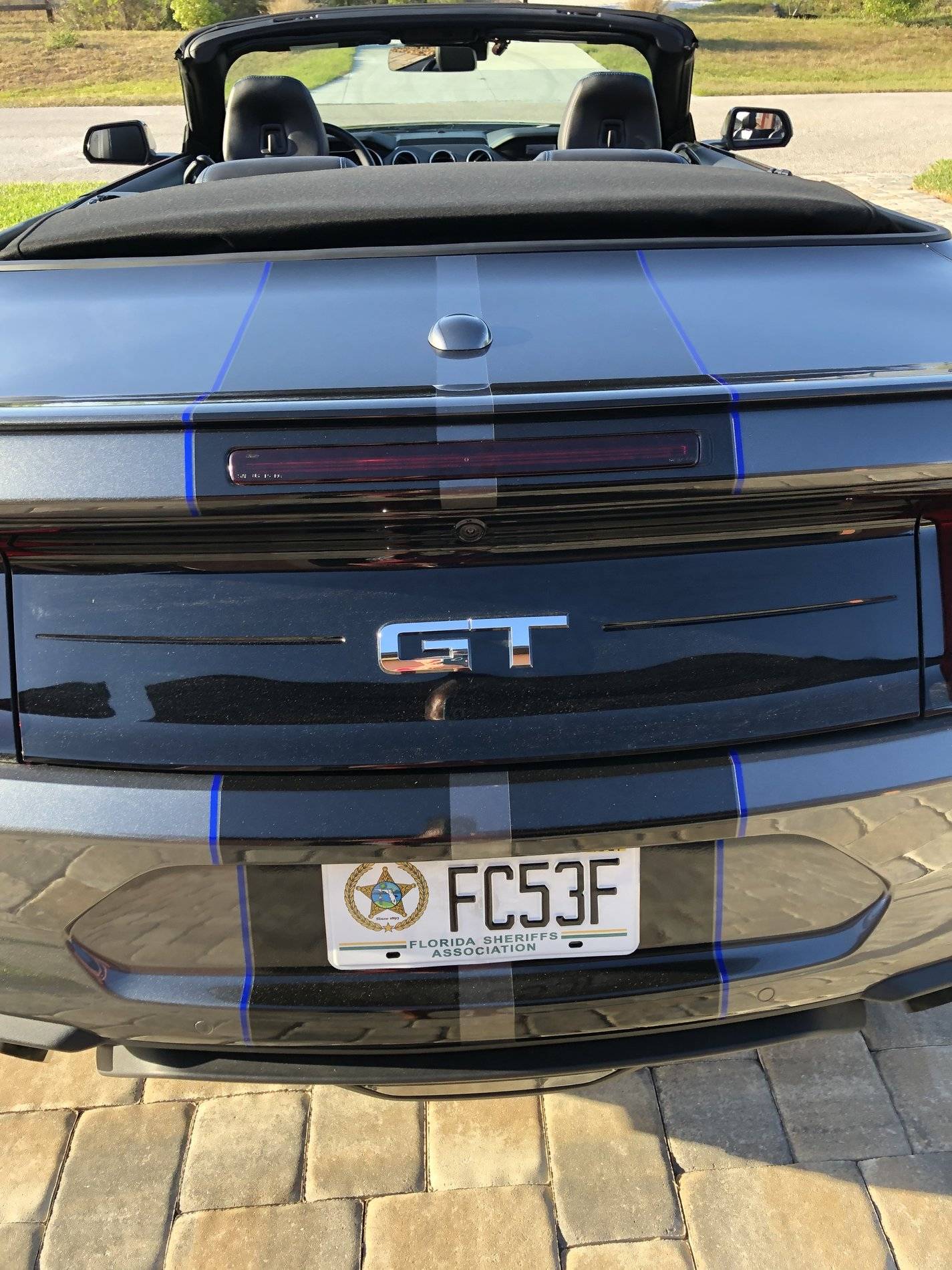Thin Blue Line, Back.jpg